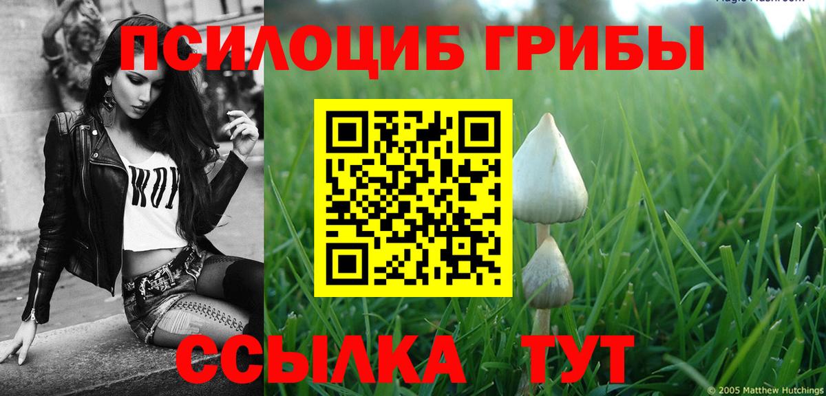 Галлюциногенные грибы мухоморы Энгельс