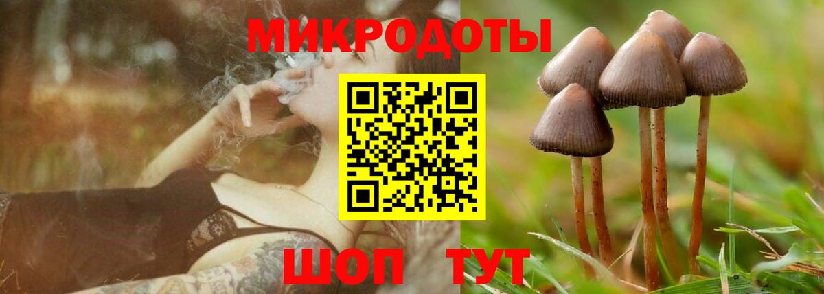 Энгельс  Галлюциногенные грибы мухоморы  Вход с VPN 